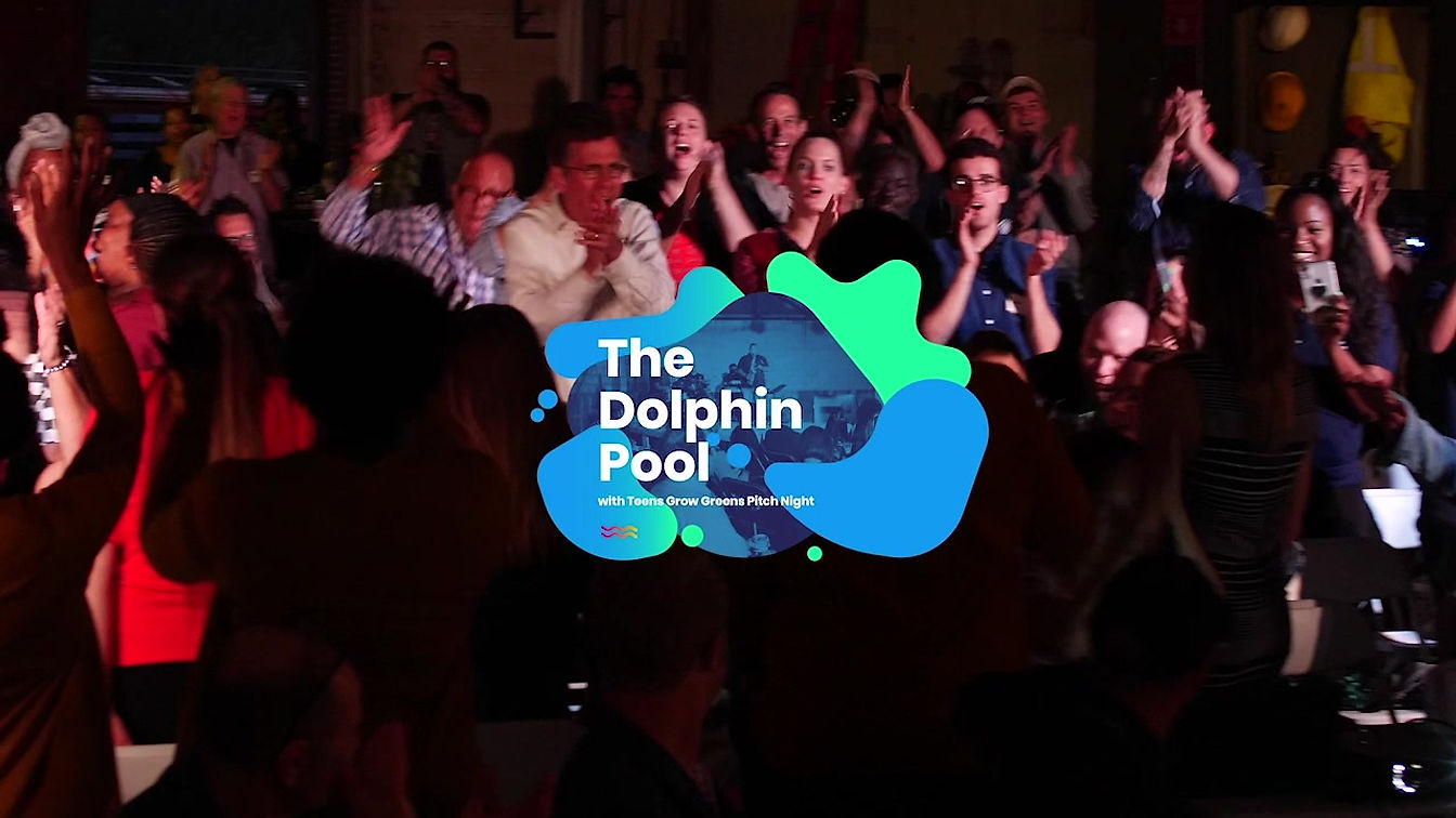 Dolphin Pool Alumni Video